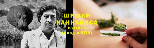ПСИЛОЦИБИНОВЫЕ ГРИБЫ Липки