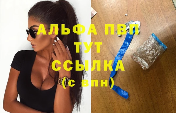 прущие грибы Вязьма