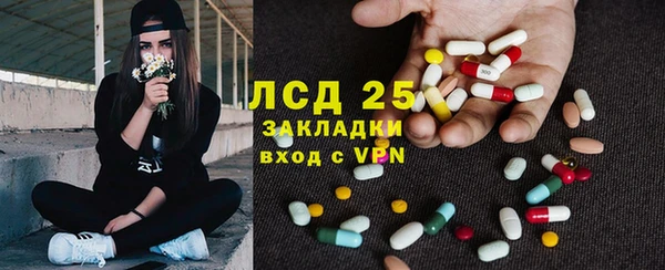 ПСИЛОЦИБИНОВЫЕ ГРИБЫ Липки